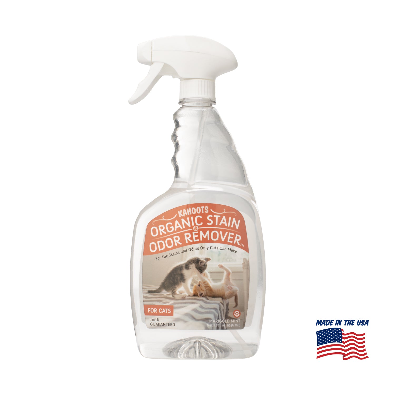 Messy pet cat stain and odor remover hotsell