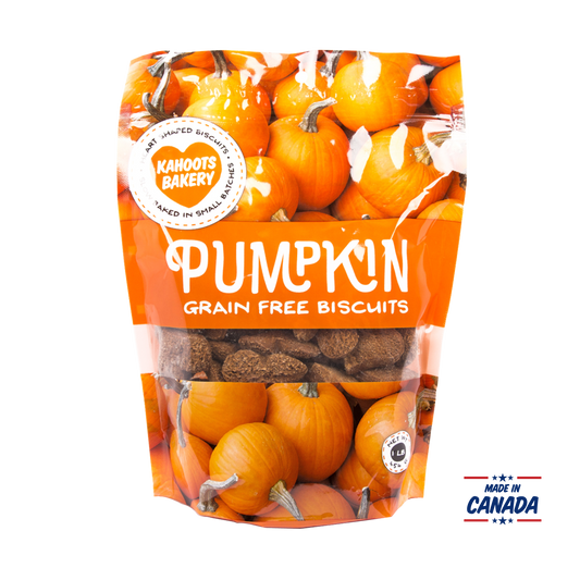 Pumpkin grain free biscuits made in Canada