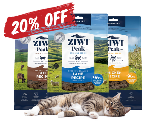 Cat laying in front of ziwi peak products