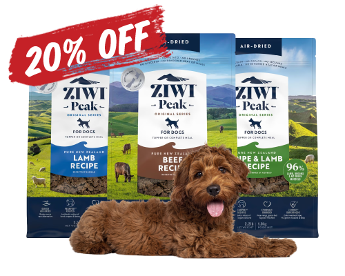 Dog laying in front of ziwi peak dog food