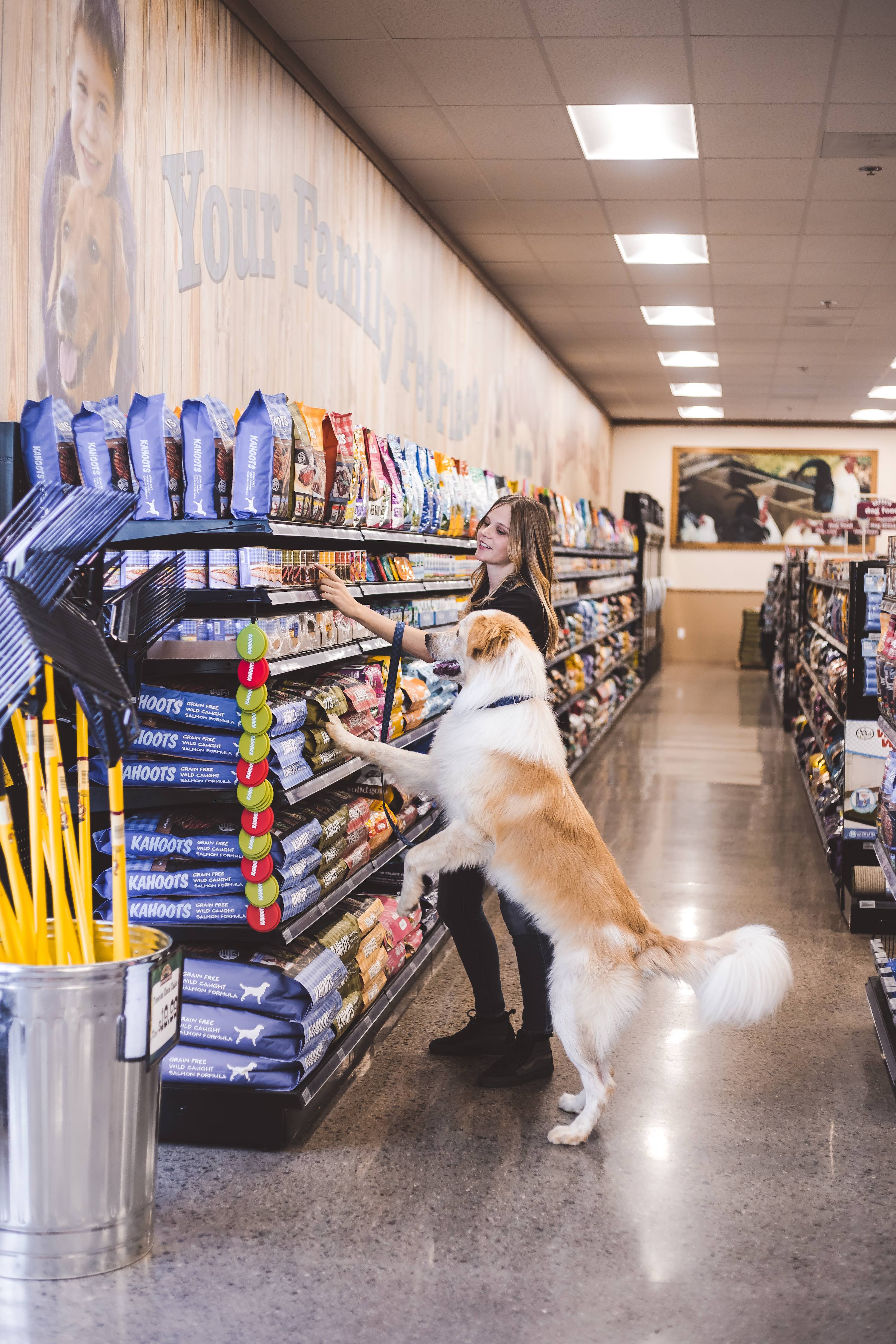 Kahoots experience. Customer with a dog picking out a product