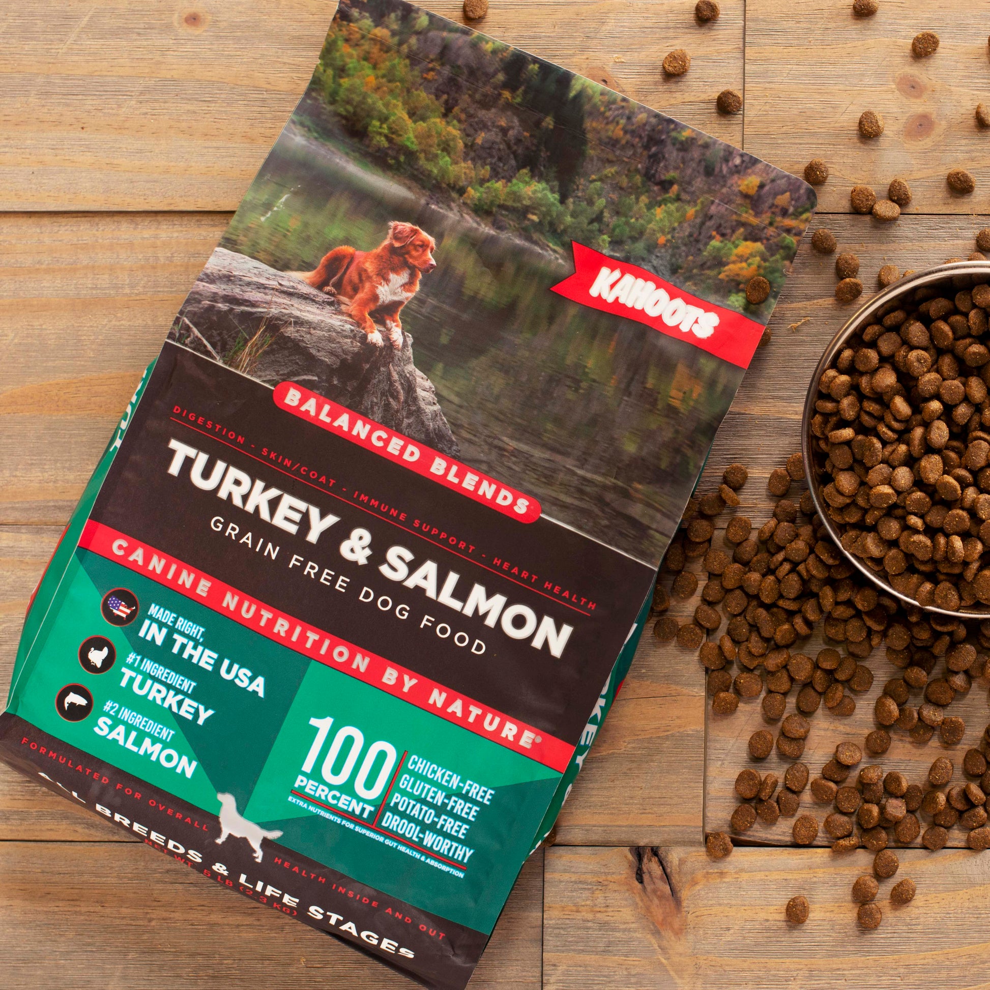Turkey and salmon dog food over wood background