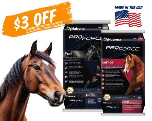 Horse looking at bags of horse feed