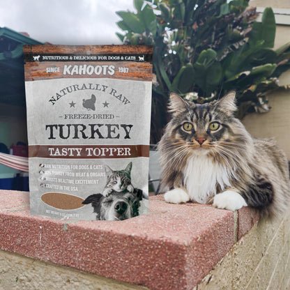 Cat sitting next to a package of Kahtoots Naturally Raw Freeze-Dried Turkey Tasty Topper on a step.