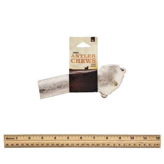 Split Antler chew with packaging and a ruler for scale on a white background