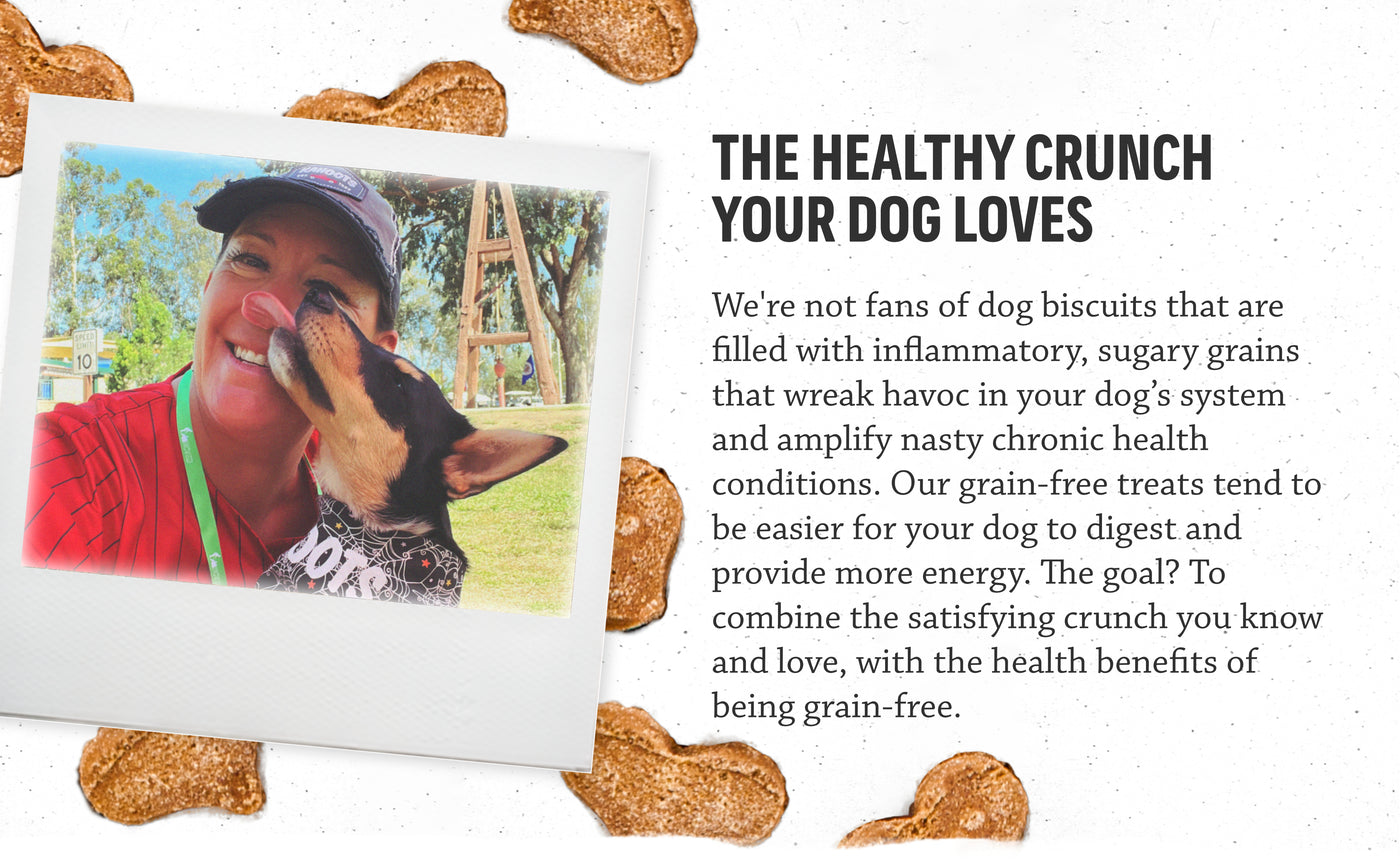 THE HEALTHY CRUNCH YOUR DOG LOVES We're not fans of dog biscuits that are filled with inflammatory, sugary grains that wreak havoc in your dog's system and amplify nasty chronic health conditions. Our grain-free treats tend to be easier for your dog to digest and provide more energy. The goal? to combine the satisfying crunch you know and love, with the health benefits of being grain-free