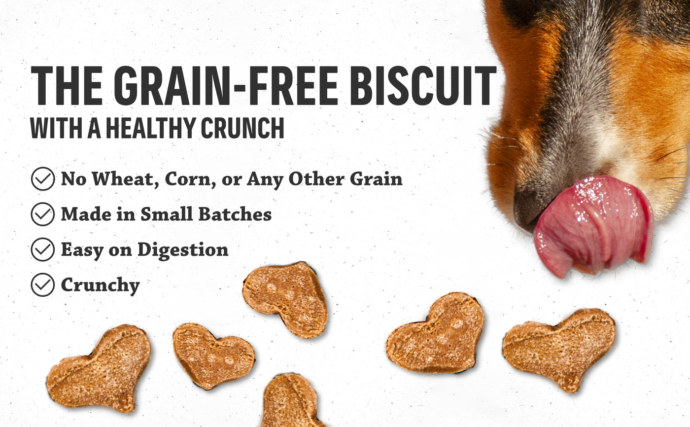 THE GRAIN-FREE BISCUIT WITH A HEALTHY CRUNCH. No Wheat, Corn, or Any Other Grain, Made in Small Batches, Easy on Digestion, Crunchy