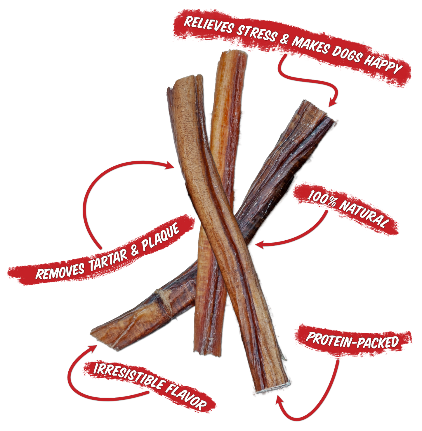 Bully Sticks Benefits