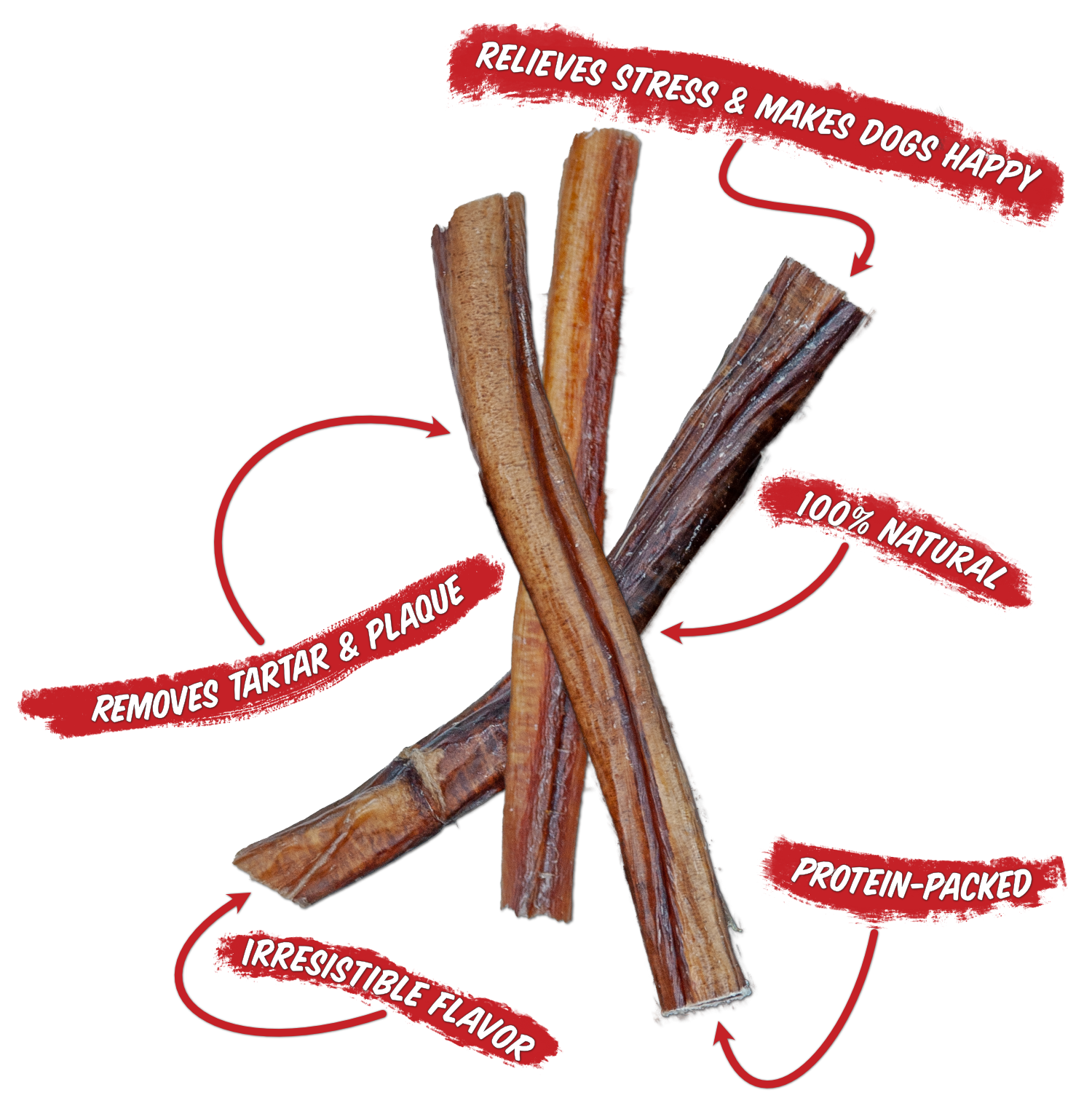 Bully Sticks Benefits