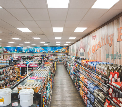 Carlsbad interior