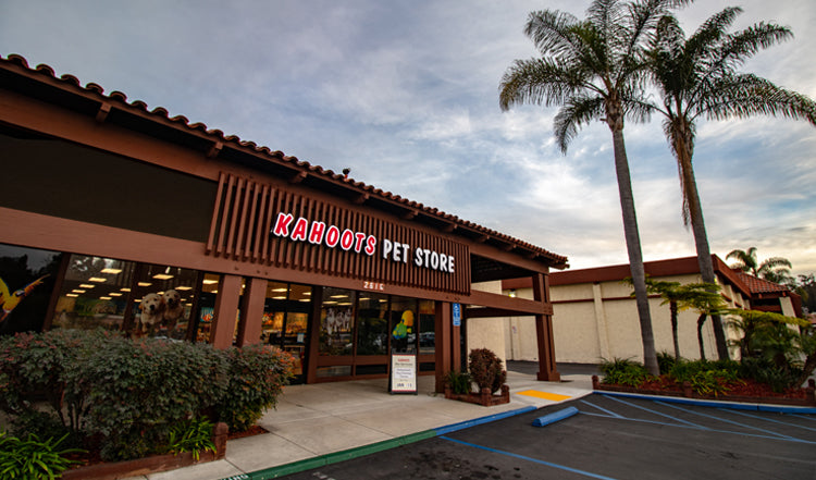 Carlsbad storefront