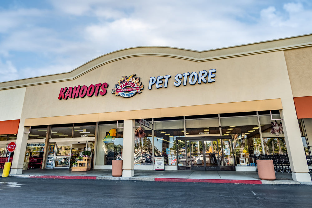 Kahoots best sale pet supply