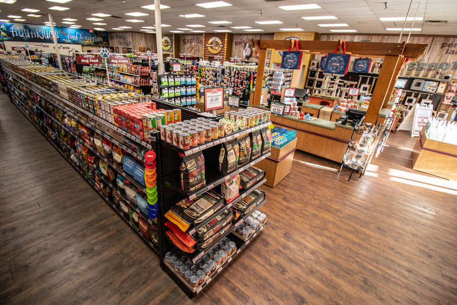 Solana Beach interior