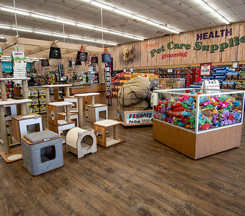 Kahoots 2025 dog store