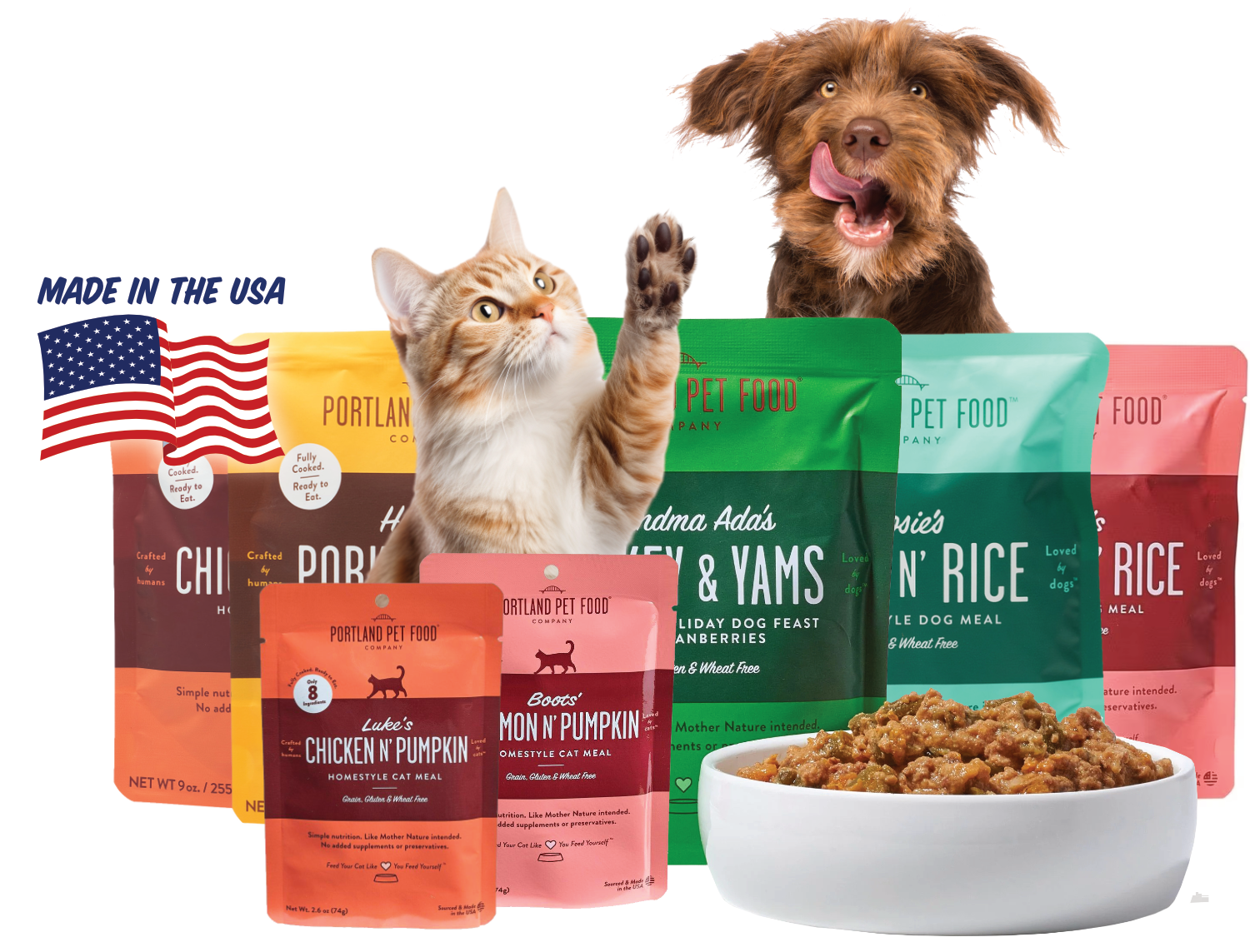 Cat and dog excited about portland pet products