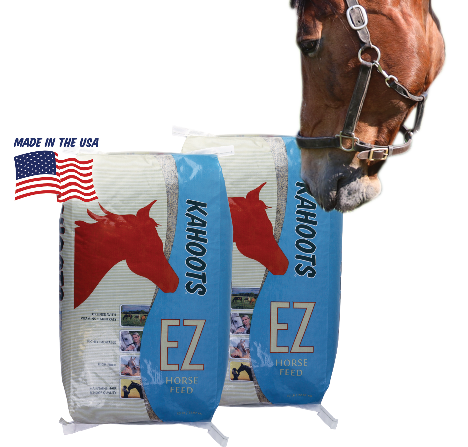 horse in halter looking at Kahoots EZ horse feed