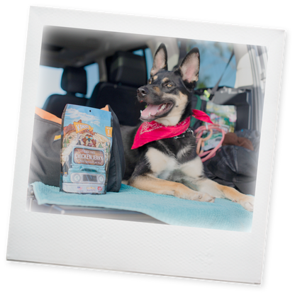 Polaroid image of a doh posing with a bag of chicken jerky