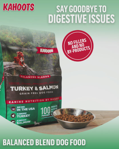 dog eating kahoots balanced blend dog food