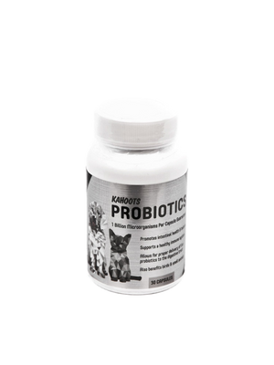Probiotics container. White bottle with metalic label. Picture of dog and cat on label. 30 count